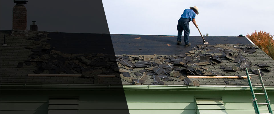 Saint Leo Roofing Contractors